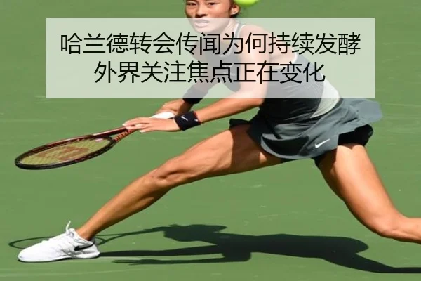 ha-lan-de-zhuan-hui-chuan-wen-wei-he-chi-xu-fa-jiao-wai-jie-guan-zhu-jiao-dian-zheng-zai-bian-hua-2-288.jpg